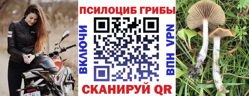 цена наркотик  Яблоновский  Галлюциногенные грибы мицелий 